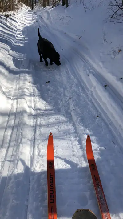 In Search of TELEMARK BOOTS 10M, View more