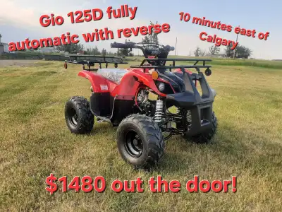 Brand new kids Atv's. 125cc fully automatic with reverse. Electric start. Remote shut off and start....