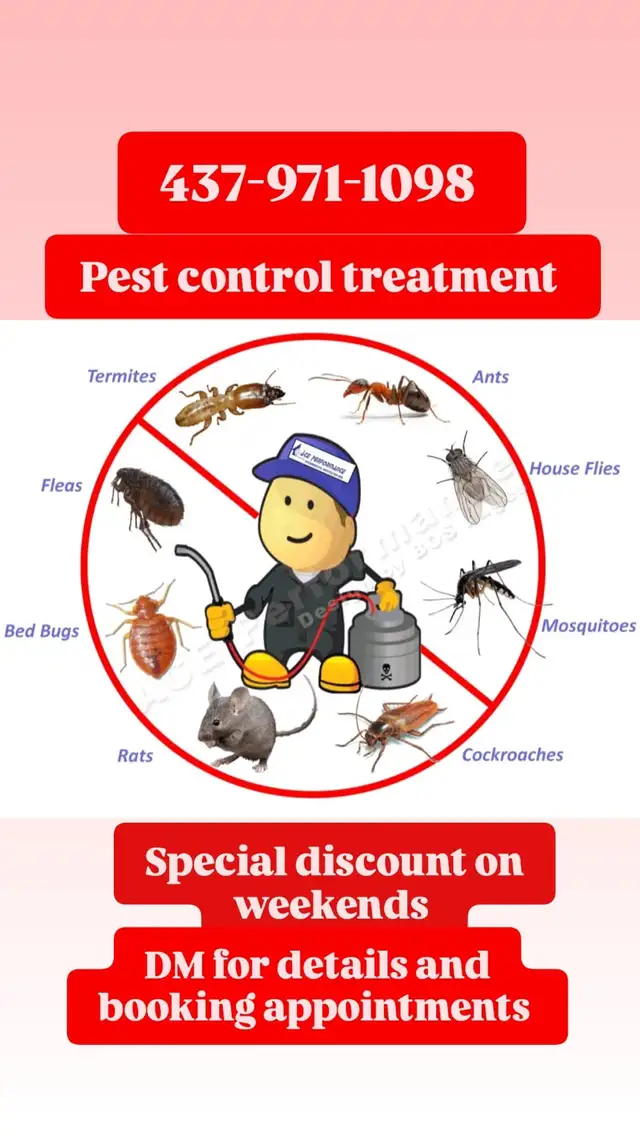 pest control  in Other in Mississauga / Peel Region - Image 2