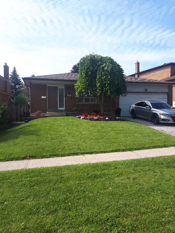 Newmarket London RdLegal Lower Floors Long Term Rentals Markham