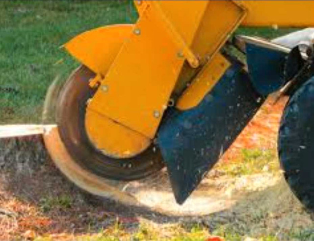 Stump grinding  in Lawn, Tree Maintenance & Eavestrough in Belleville