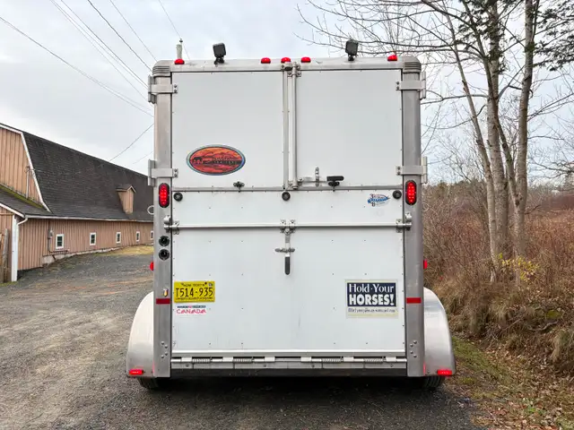 Horse Trailering in Horses & Ponies for Rehoming in Bedford - Image 4