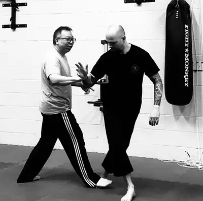 Functional Wing Chun martial art class and learn how to use it, View more