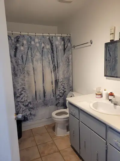 5 et demi à louer sur la rue Houle à Drummondville au 2e étage. 2 balcons, rangement sur galerie arr...
