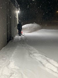 snow blowing/shoveling services