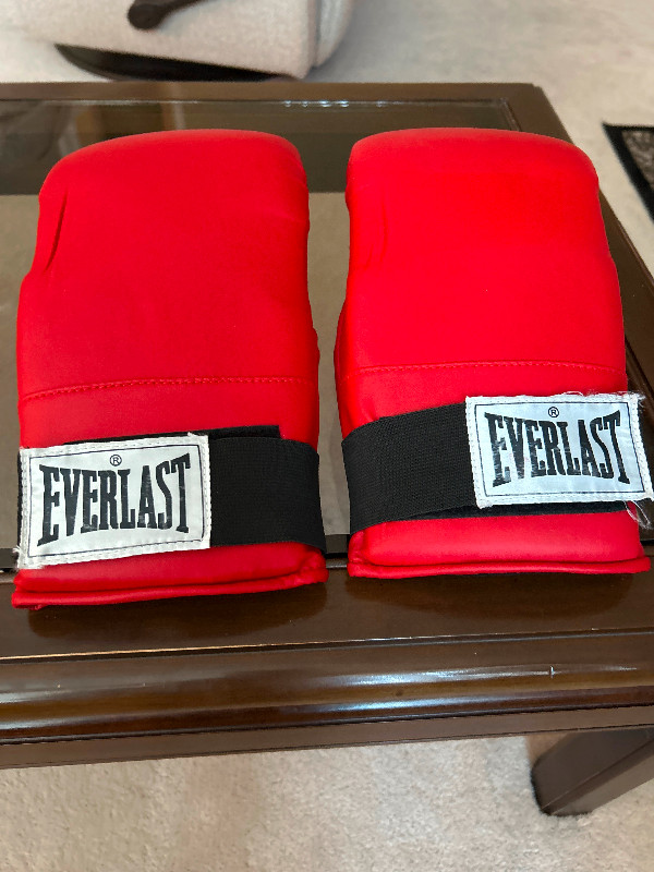 Everlast Boxing  Cardio  Fitness Gloves Red. in Exercise Equipment in Edmonton