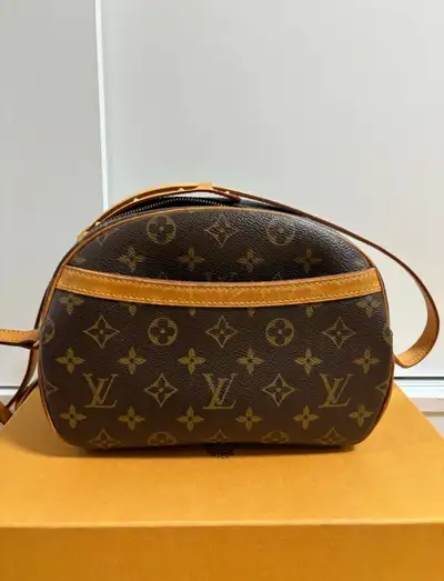 Louis Vuitton Camara bag, View more