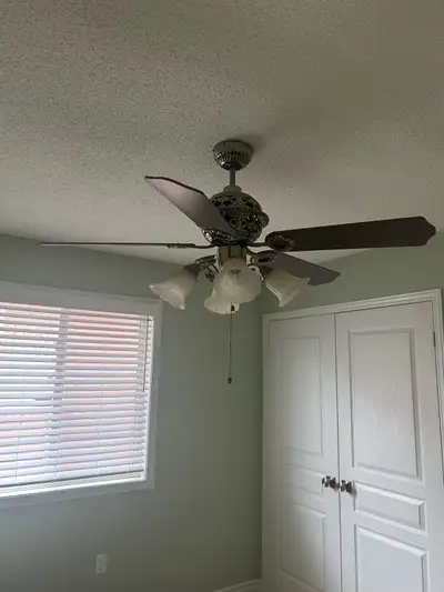 Ceiling Fan, View more