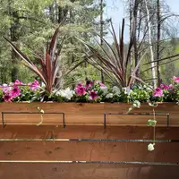 FLOWER BOXES