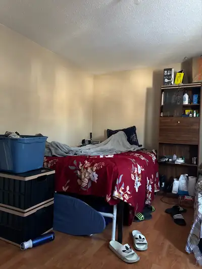 We are looking for 2 people form March 1 2026.