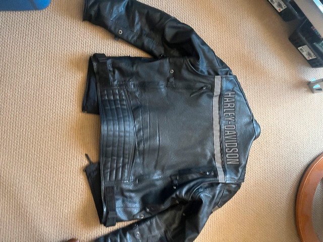 Harley Davidson clear thick leather jacket in Men's in Thunder Bay - Image 2