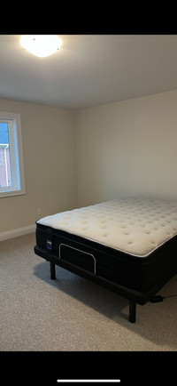 Queen Mattress + Adjustable bed 