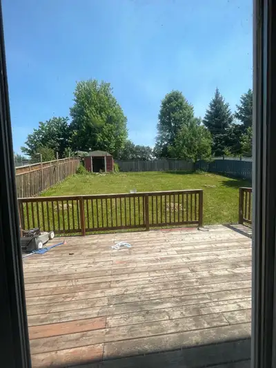house for rent