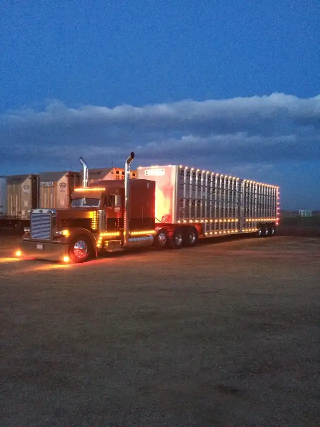 Livestock Company Dispatcher Wanted in Other in Lethbridge - Image 7