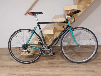 Vélo de route Fiori 54cm (medium), View more