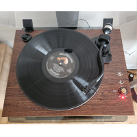 Vinyl Record Player with Built in Speakers and Bluetooth