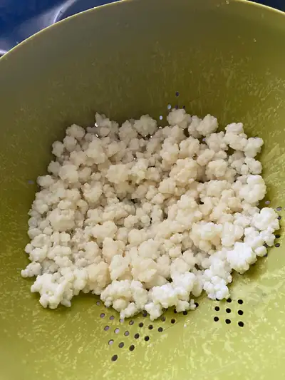 Kefir grains for sale, View more
