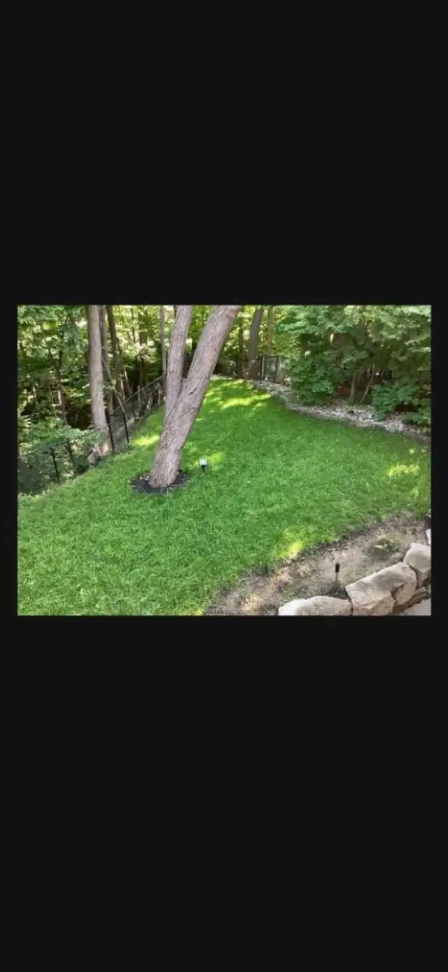 aeration dethatching/power raking instant pricing garden cleanup in Lawn, Tree Maintenance & Eavestrough in Mississauga / Peel Region - Image 8
