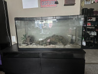 40 gallon tank  with tank stand and accessories 