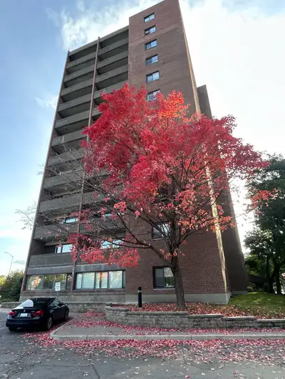 One bedroom available in a two bedroom apartment Located closed to the Ottawa River and new orchard...