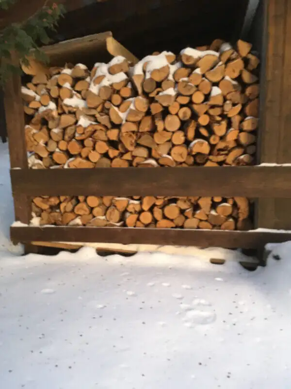 Bois de chauffage in Fireplace & Firewood in Edmundston - Image 2