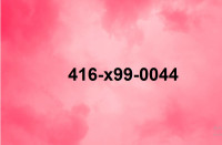 416 905 647 Rare Easy phone numbers