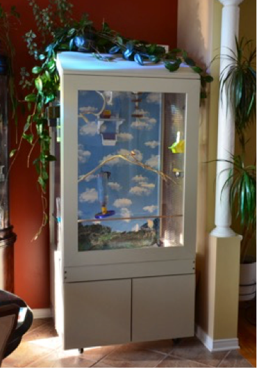 Bird cage, large canary or finch aviary, View more