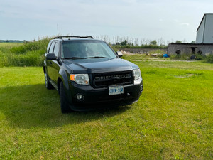 2009 Ford Escape XLT