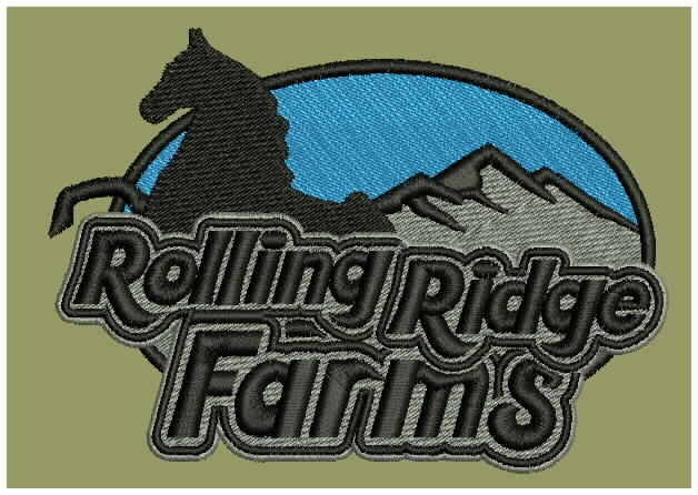 Embroidery digitizing and Vector Art Conversion in Hobbies & Crafts in St. Albert - Image 3