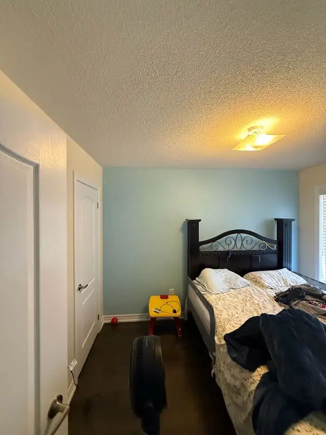 professional painter486353626653665283