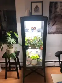Plant cabinet with grow lights