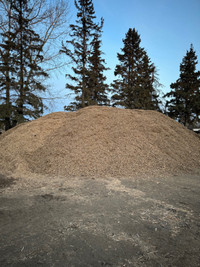 2” Wood chips / mulch for sale 