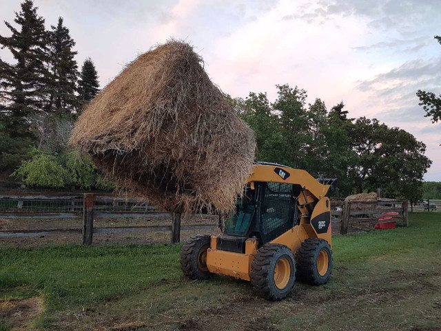 SKID STEER 2011 CAT 262C WITH BUCKET  in Heavy Equipment in Brandon