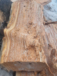 Dry cut and split tamarack firewood 
