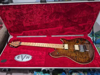 EVH Wolfgang Special, View more