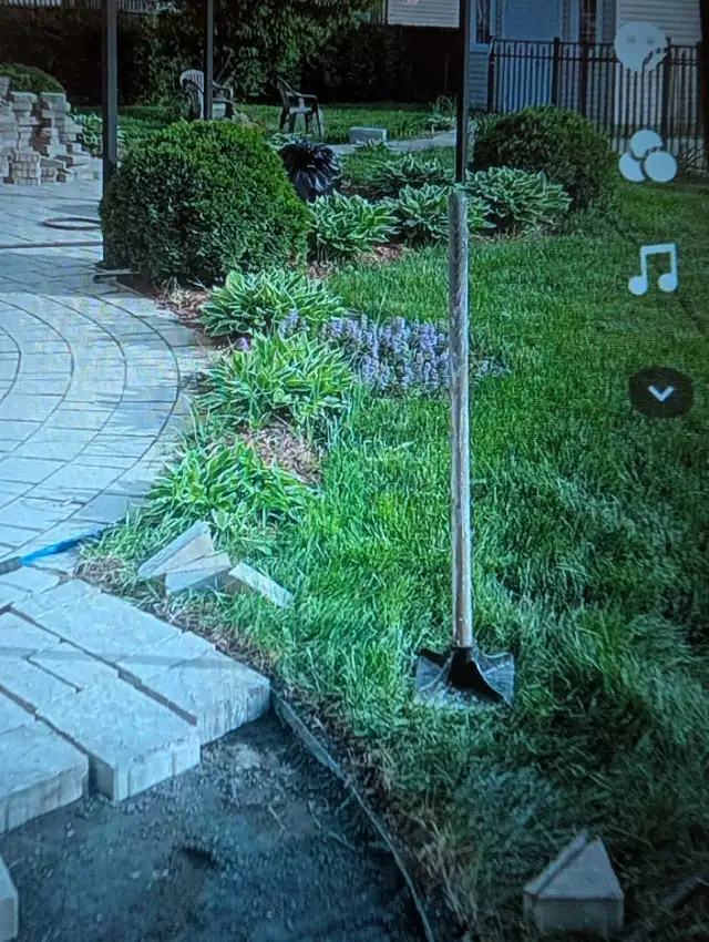 Landscape Architect421187354802923524