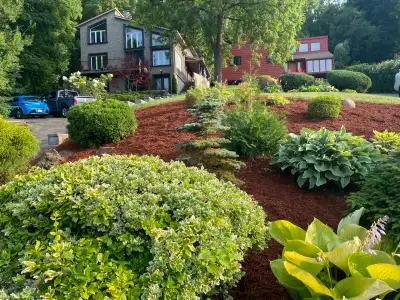 Landscaping Services , View more