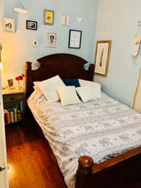 1 Bedroom Apt - Spadina & Queen, Available May 1 or earlier
