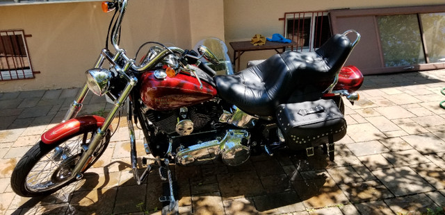 Harley-Davidson softail custom 2009 dans Autre  à Longueuil/Rive Sud - Image 2