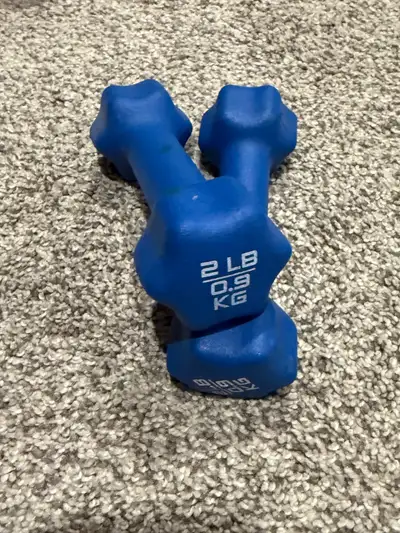 Pair of 2LB weights and pair of 8LB weights. All for $15. Located in Coldstream