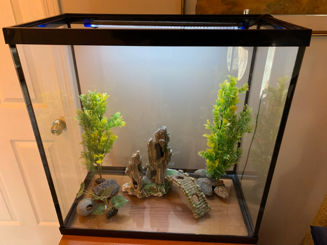 30 gallon Freshwater Fish Tank in Black in Accessories in Gatineau - Image 2