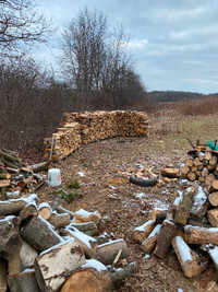 Free log and firewood drop off