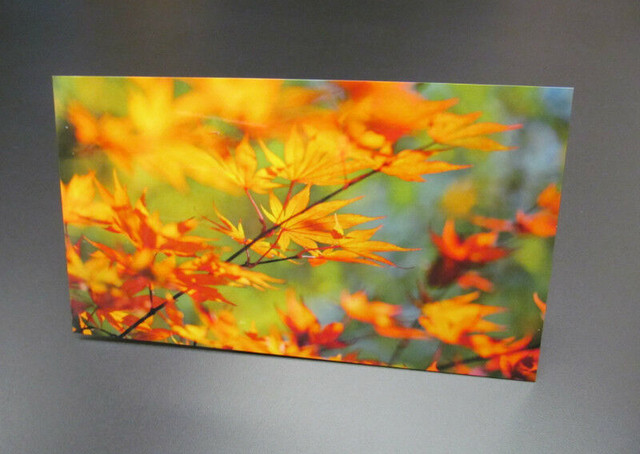 Your photos in Metal in Home Décor & Accents in Kitchener / Waterloo