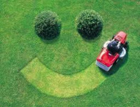 Expert Lawn Care, cutting, mowing, maintenance, spring cleanups
