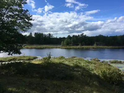 New prices. Must sell due to illness. All 3 waterfront properties. Reduced. Cook Lake with 171 acres...