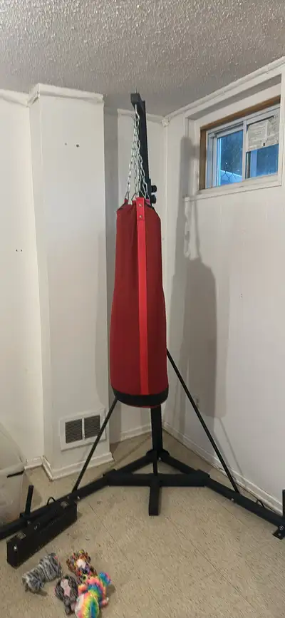 punching bag, View more