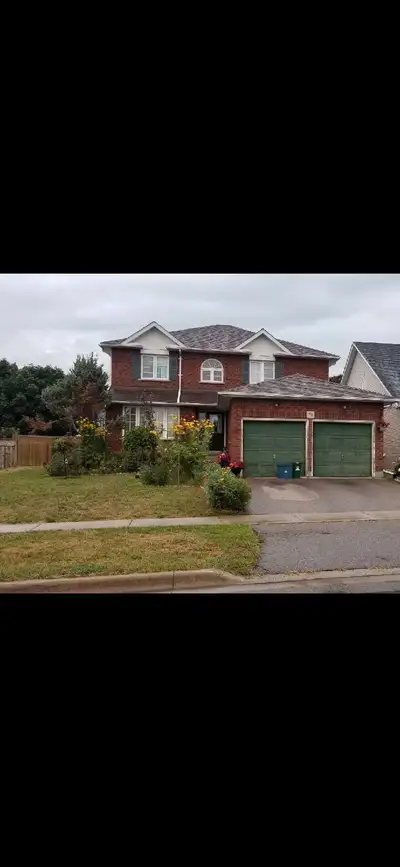 House for rent