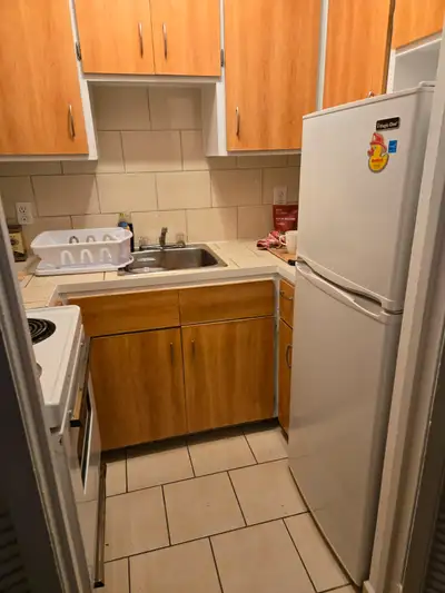 Lease Transfer - Beautiful 3 1/2 in Montreal - August 1st (Flexible): I am looking for someone to ta...