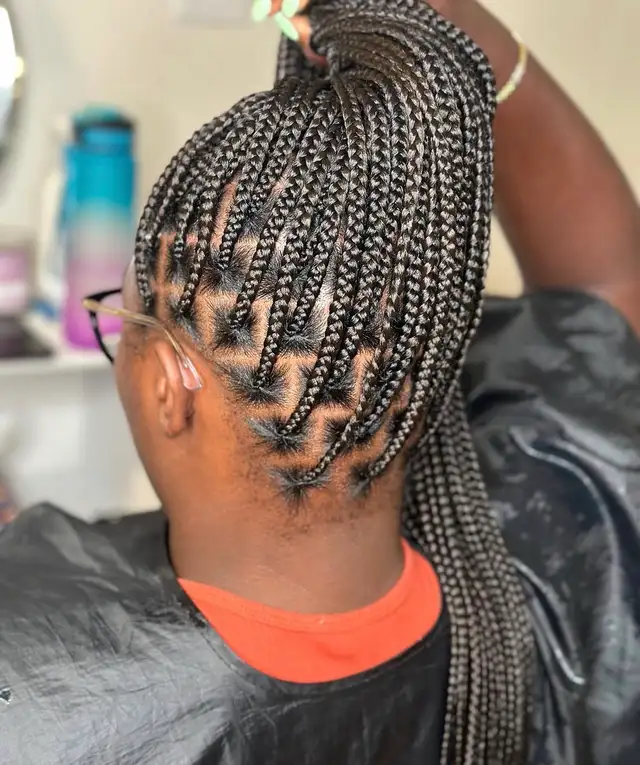 Braids and Locs602765533412730884