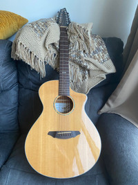 Breedlove 12 string acoustic electric